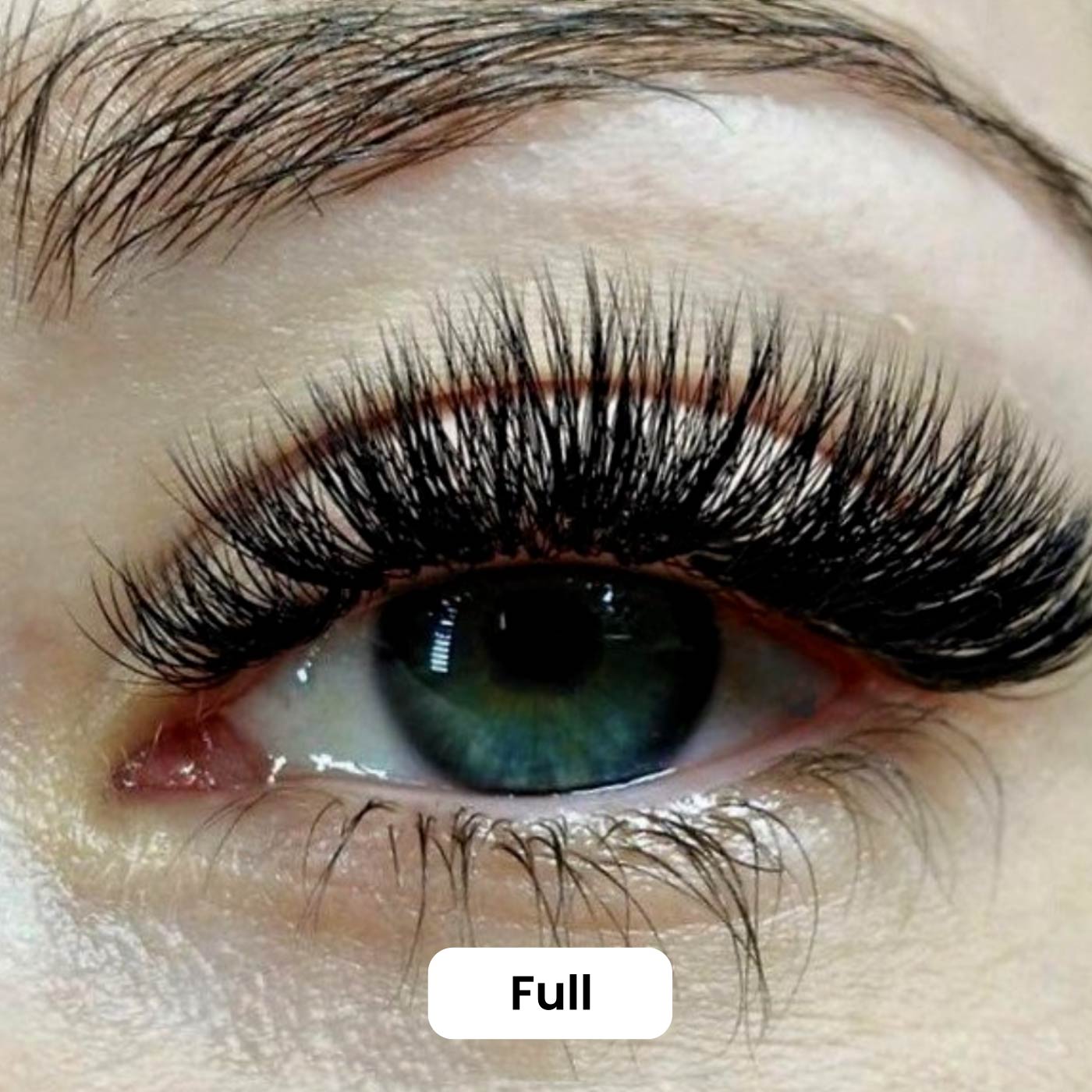 Giani™  Magnetic Lashes