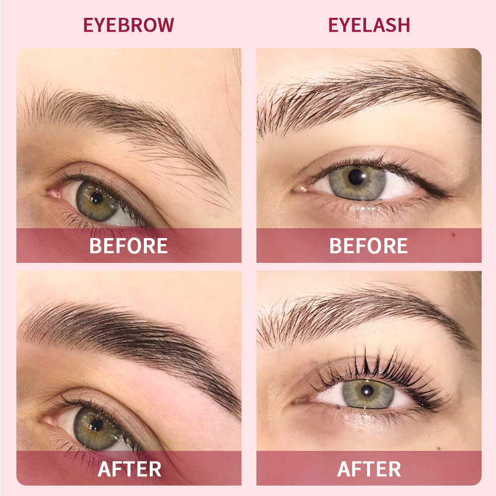 Eyebrow Dye Tint Kit