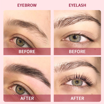 Eyebrow Dye Tint Kit